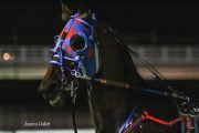 Warrawee-Veloce-PPK-21-22-3