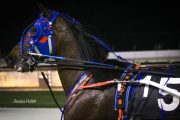Warrawee-Veloce-PPK-21-22-7