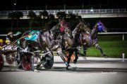 Warrawee-Veloce-PPK-21-22-8