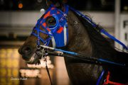 Warrawee-Veloce-PPK-21-22-9