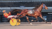 Warrawee-Veloce-Stretch-20240202