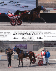 Warrawee-Veloce-Web-20250228