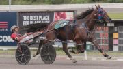 Warrawee-Veloce-Web-Stretch-20230729