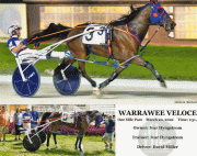 Warrawee-Veloce-web-20220320