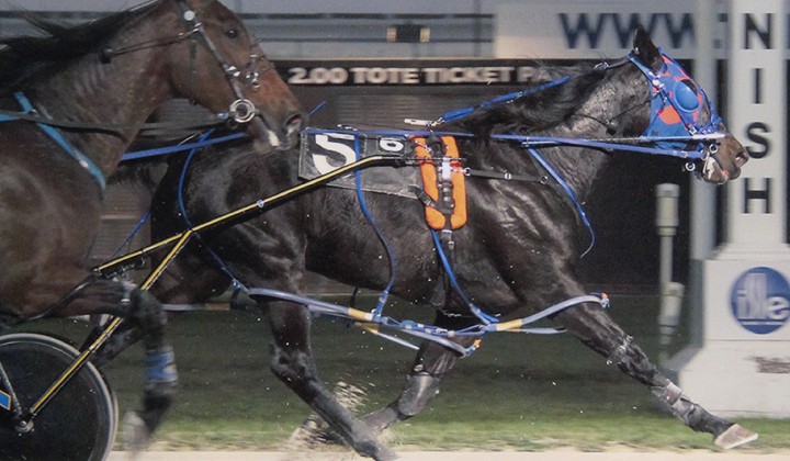 Excelerated Speed wins FMnw2801 at Pompano Park