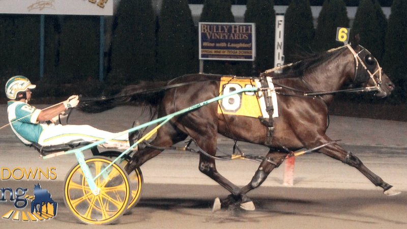Excelerated Speed Sets New Lifetime Mark at Tioga Downs