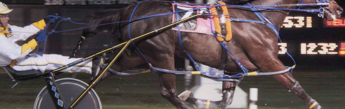 Excelerated Speed shaves another tick off her lifetime mark