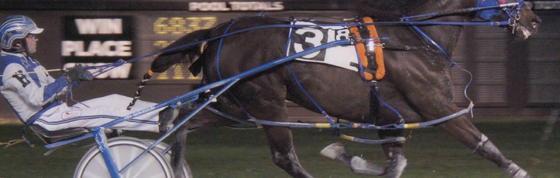 Exelerated Speed Wins Mares Open III with New LIfe Mark