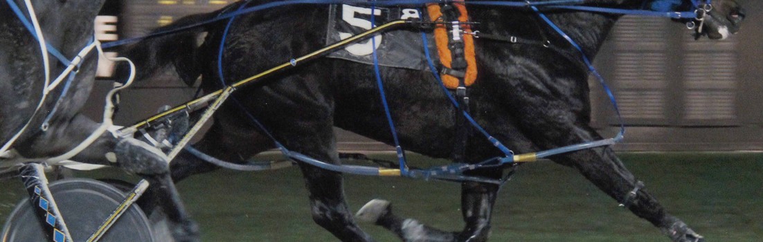 Excelerated Speed wins FMnw2751 at Pompano Park