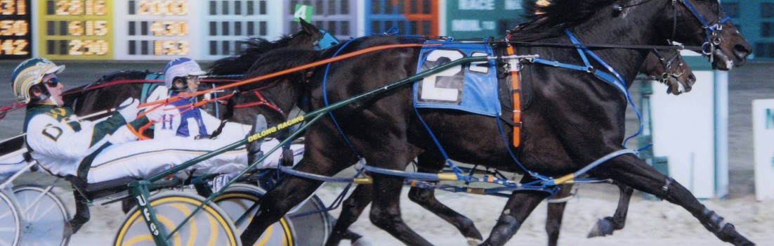 Excelerated Speed wins mid level conditioned event at Maywood