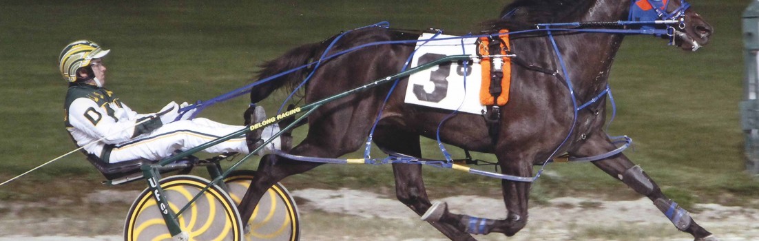 Excelerated Speed Wins FM NW4/8Clm at Maywood Park