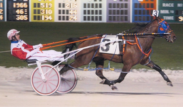 Kaydon Begone: Winner in Maywood Conditioned Event