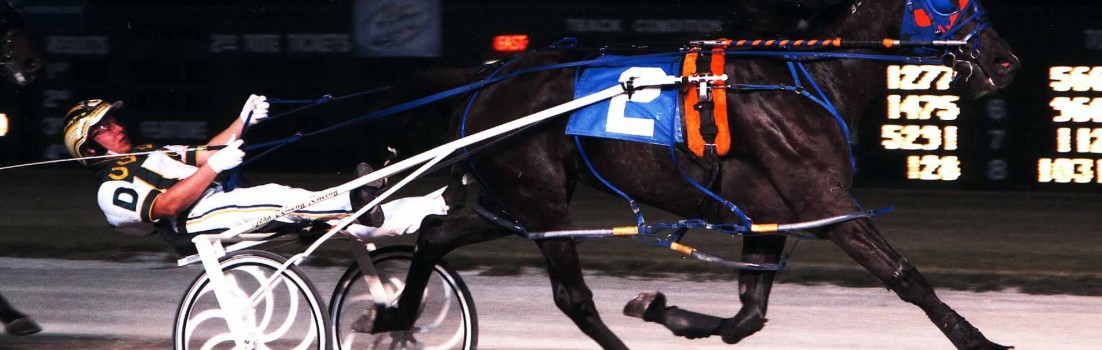 Pilgrims Haley [2005 , P , 7 , 1:52.4M   $124,046]