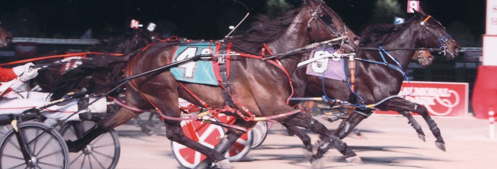 Excelerated Speed – 2 wins in a row at Balmoral!