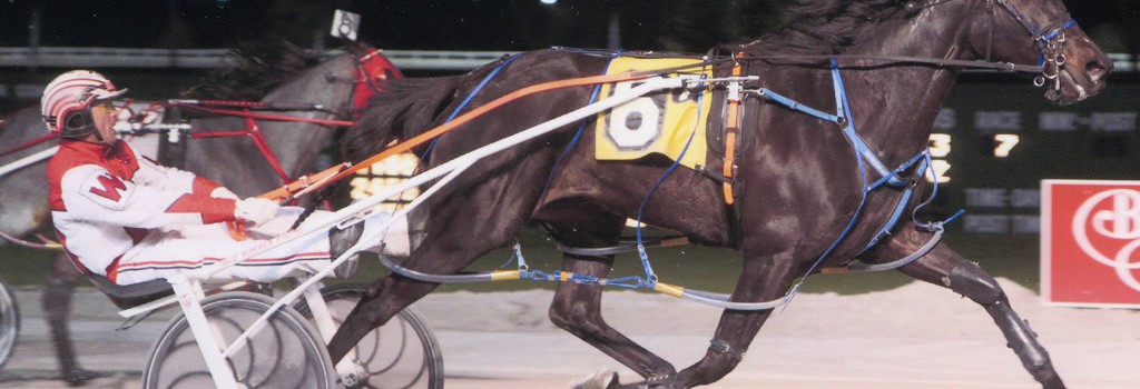 Excelerated Speed Wins Balmoral Mares Open Pace