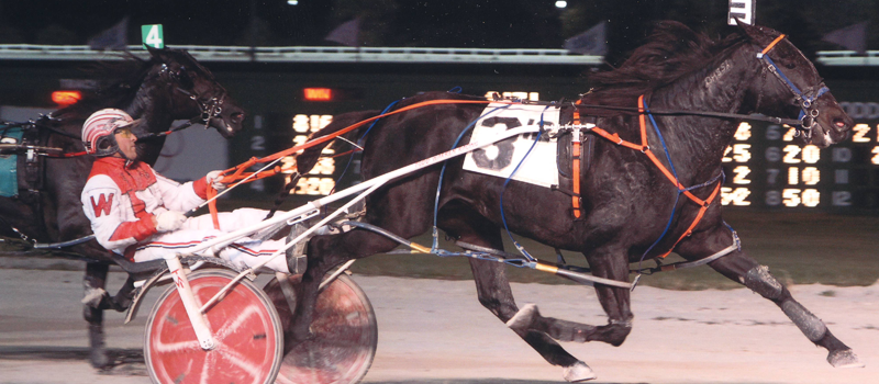 Excelerated Speed wins at Balmoral Park!