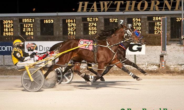 Excelerated Speed Wins in a Dead Heat at Hawthorne Racecourse!