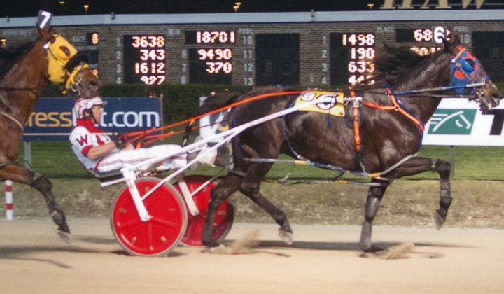 Excelerated Speed wins her Hawthorne Racecourse summer opener!