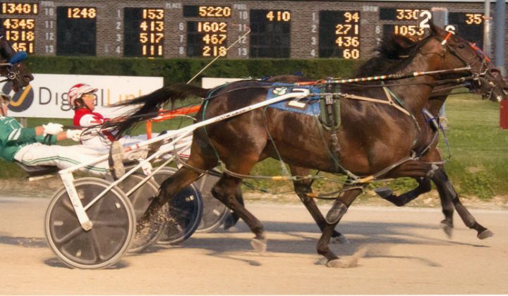 Excelerated Speed wins at Hawthorne Racecourse