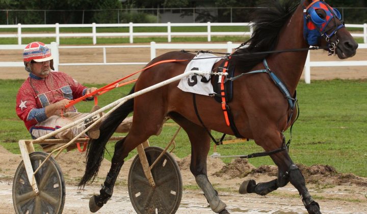 Storm Winds Incredible Win at Whiteside County Fair!