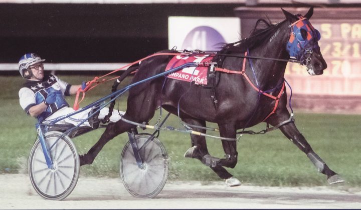 Excelerated Speed Wire to Wire Winner at Pompano!