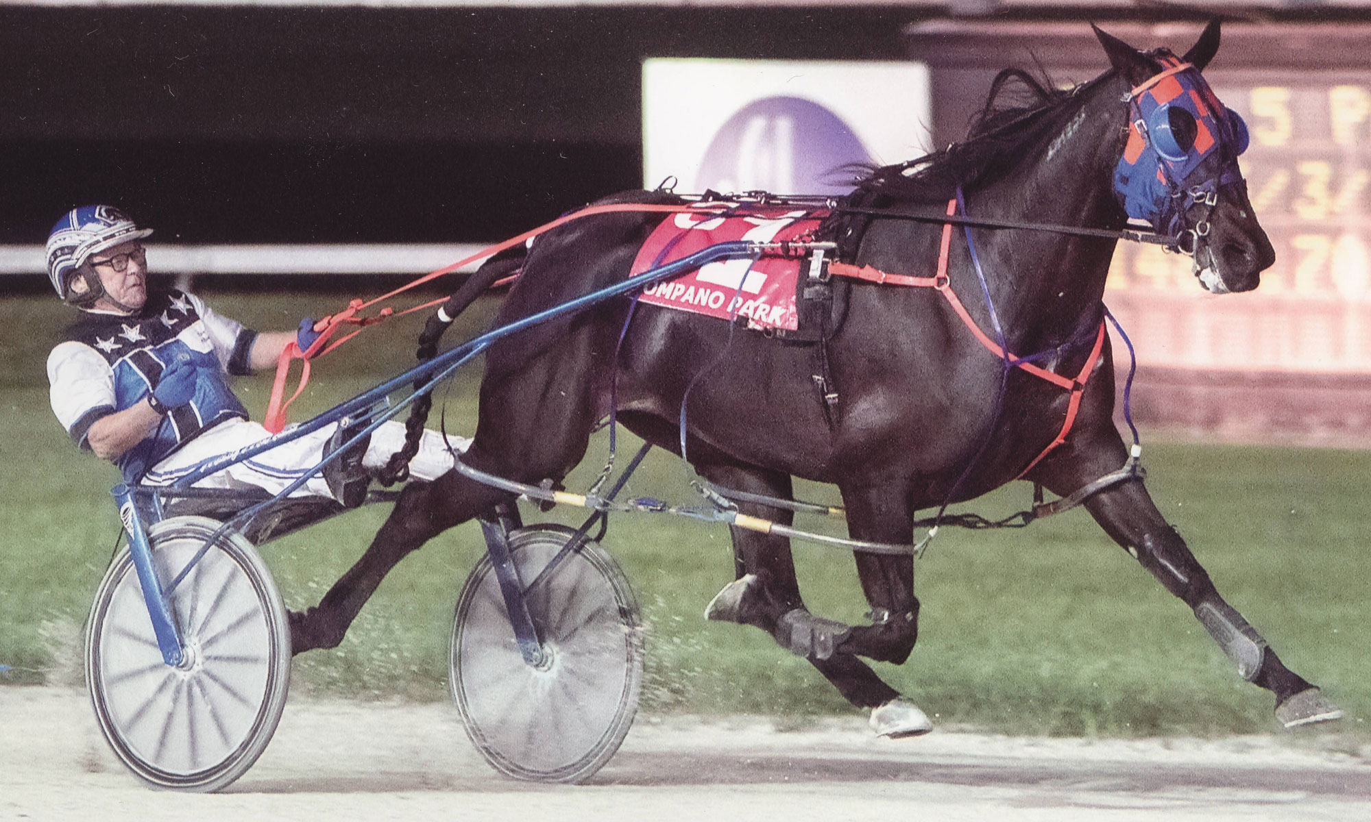 Harness Racing & History - Hyngstrom Racing