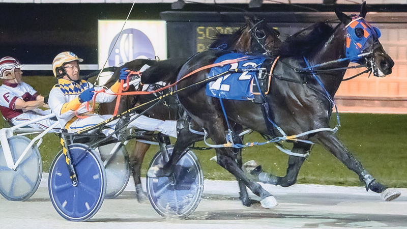 Excelerated Speed wins at Pompano Park!