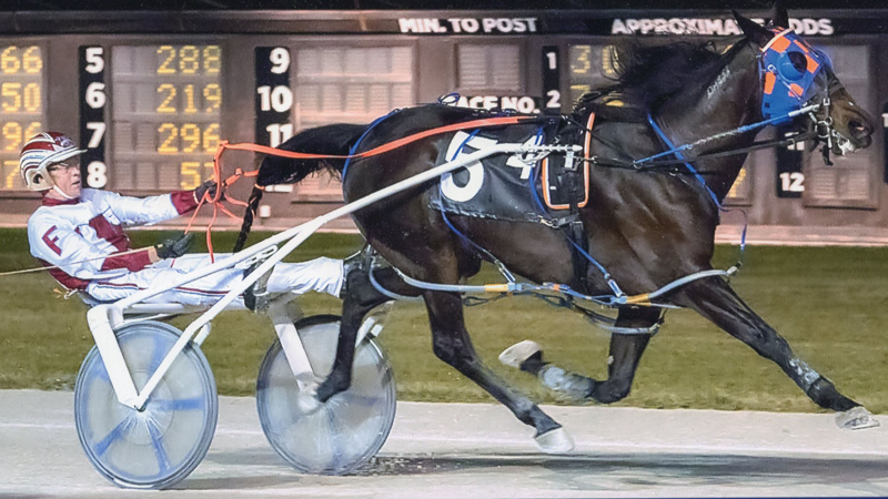 Excelerated Speed wins at Pompano!