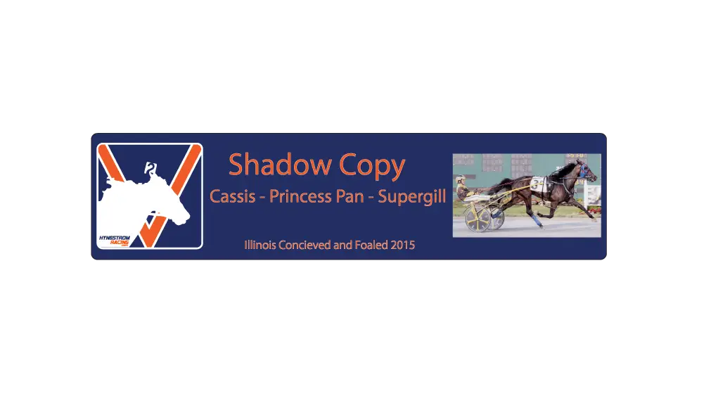 Shadow Copy