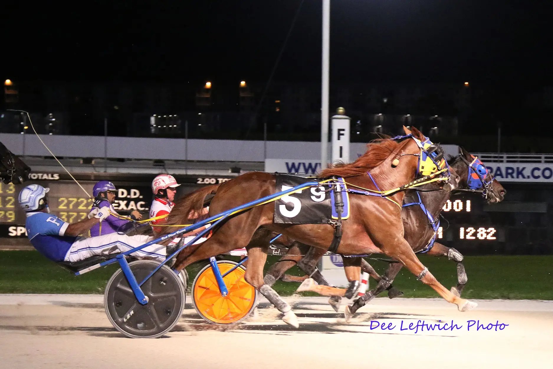 Giant Muscles Wins at Pompano Park!