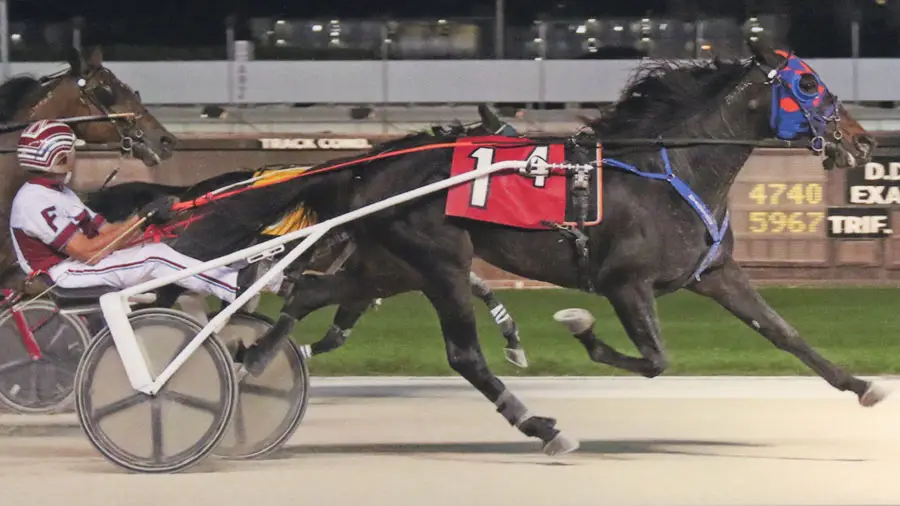 Shadow Copy Wins at Pompano Park!