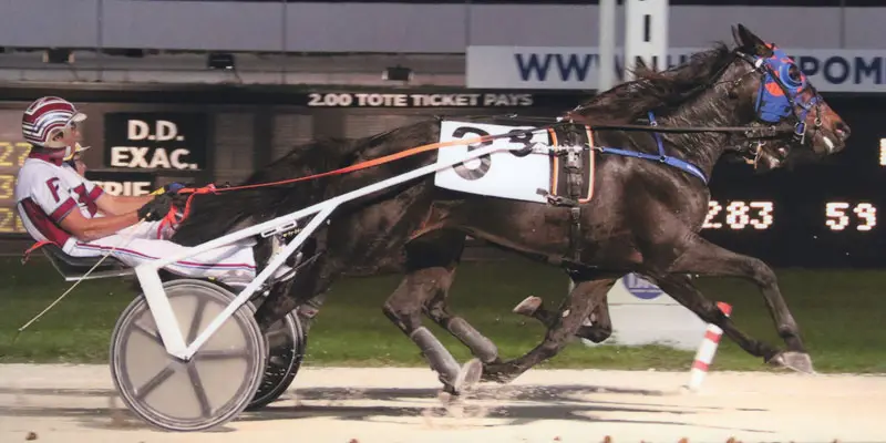 Shadow Copy wins in a dead heat at Pompano Park!