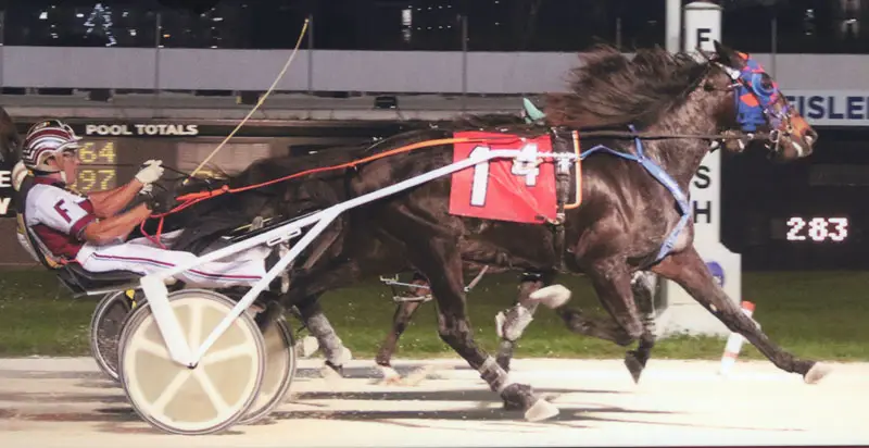 Shadow Copy Wins Two in a Row at Pompano!