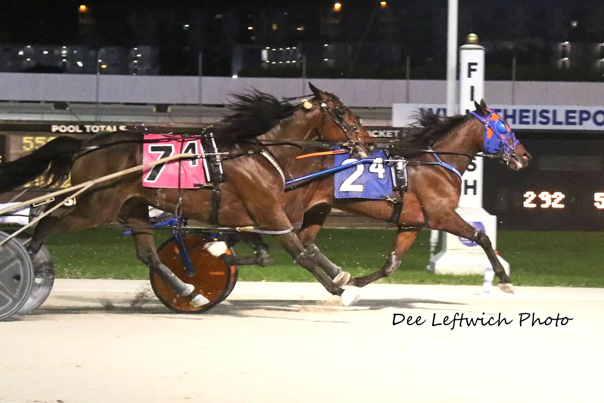 Shortie Joe Wins at Pompano Park!