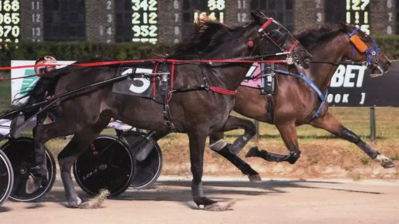 Arclight Hanover Wins at Hawthorne Racecourse!