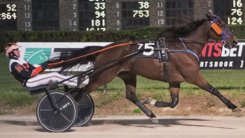 Two in a Row at Hawthorne Racecourse for Arclight Hanover!