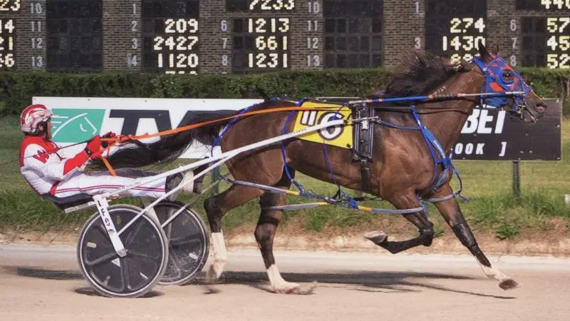 Primo Extremo Wins at Hawthorne Racecourse!