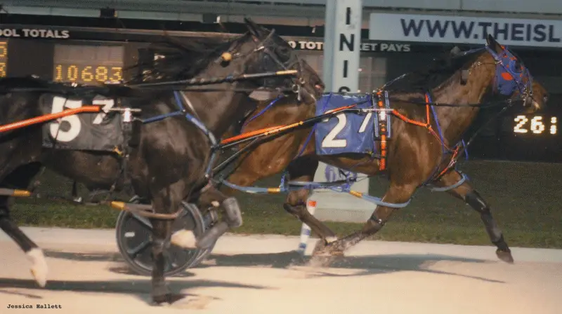 Warrawee Veloce Sets a New Lifetime Mark in Win at Pompano Park!