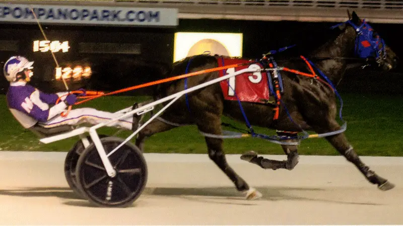 Warrawee Veloce Starts Off 2022 with a Lifetime Mark Win 1:50.4!