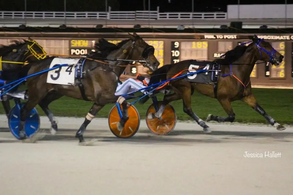 Arclight Hanover wins at Pompano Park!