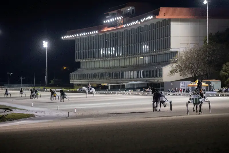 360 Video of Warrawee Veloce in the Final Race from Pompano Park
