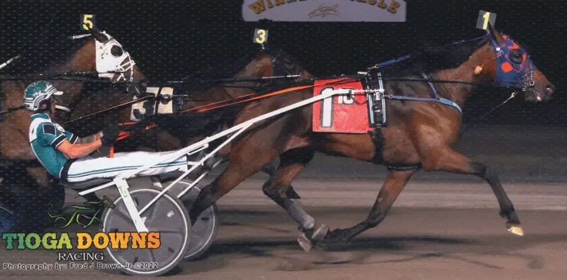 Blue Devil Wins at Tioga Downs!