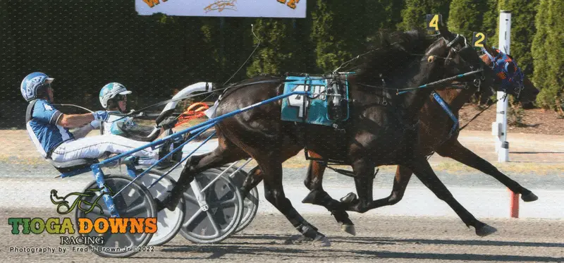 Blue Devil Wins Second Time in a Row at Tioga Downs!