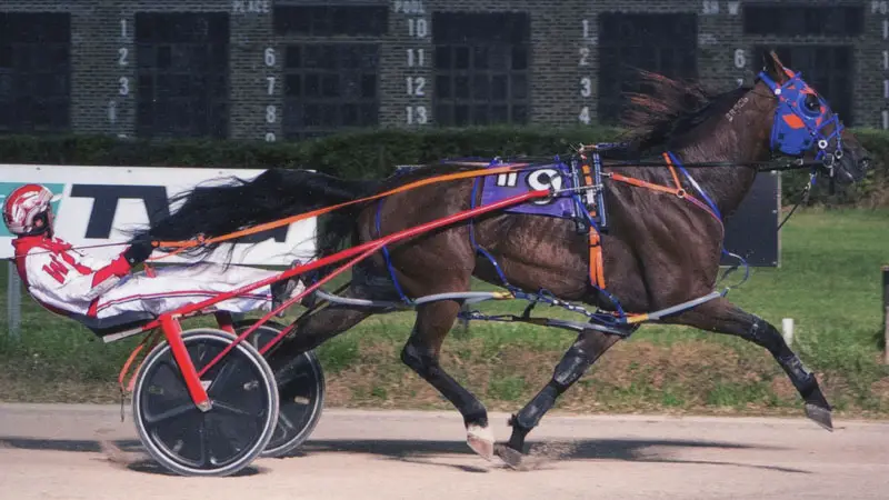 Warrawee Veloce Wins at Hawthorne Racecourse!