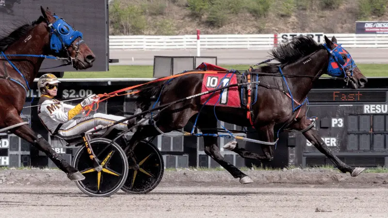 Unhynged Speed Wins at the Meadows!