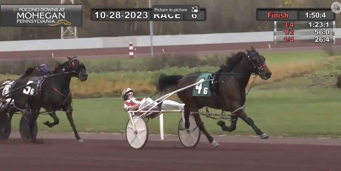 Warrawee Veloce Wins at Pocono Downs!