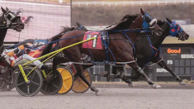 Unhynged Speed Wins at The Meadows!