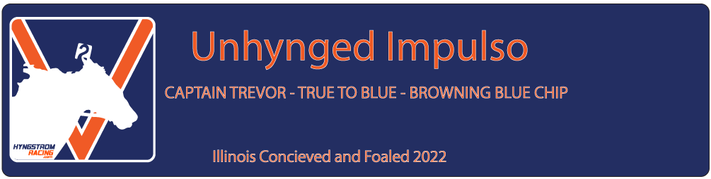 Unhynged Impulso
