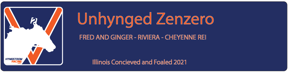 Unhynged Zenzero