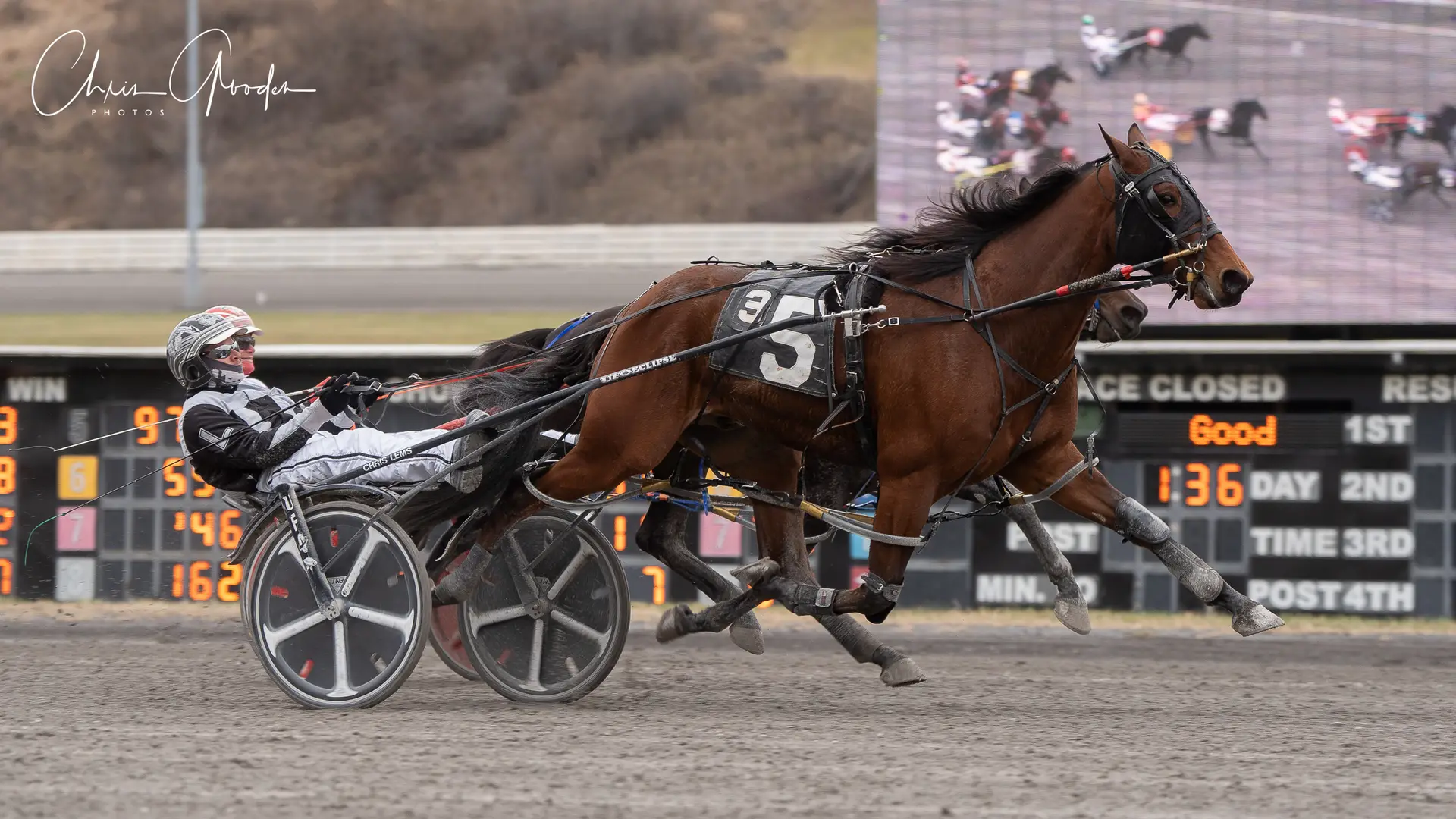 Unhynged Speed receives an “Honorable Mention” in USTA Press for his second place Finish to Sparrow Hanover